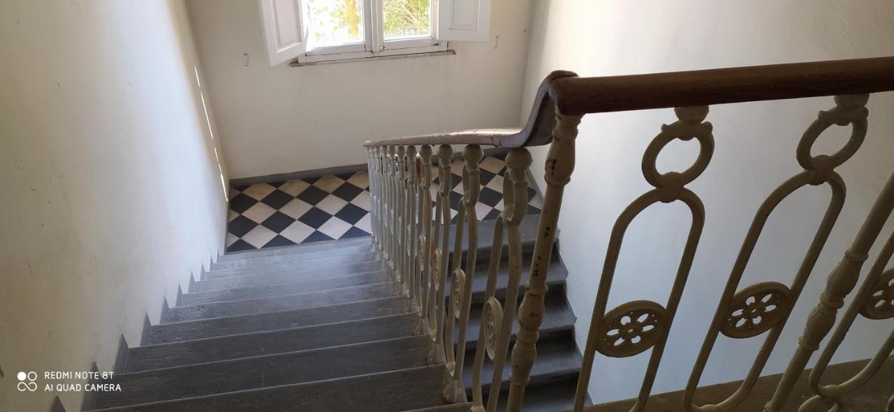 Apartamento Desiderio Pisa Exterior foto