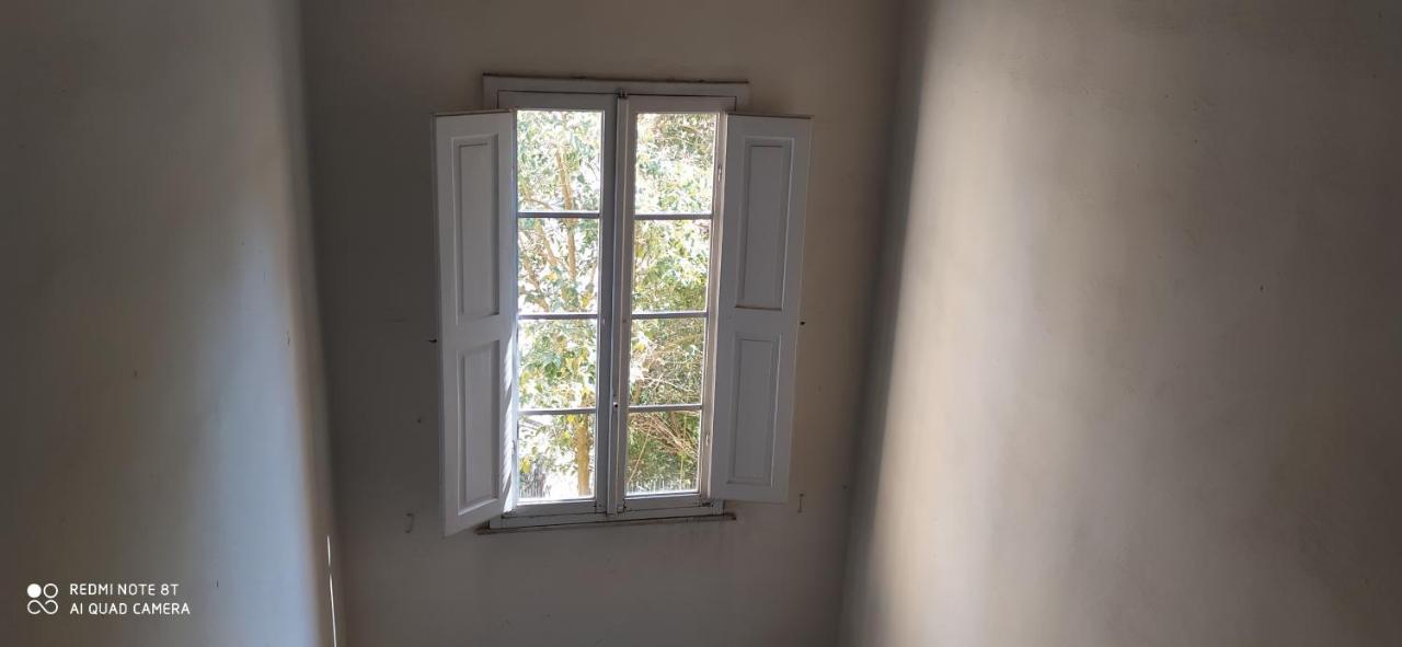 Apartamento Desiderio Pisa Exterior foto