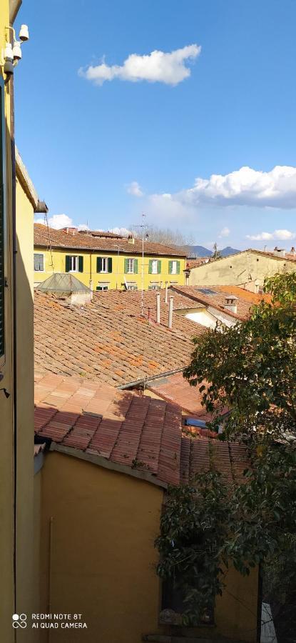 Apartamento Desiderio Pisa Exterior foto